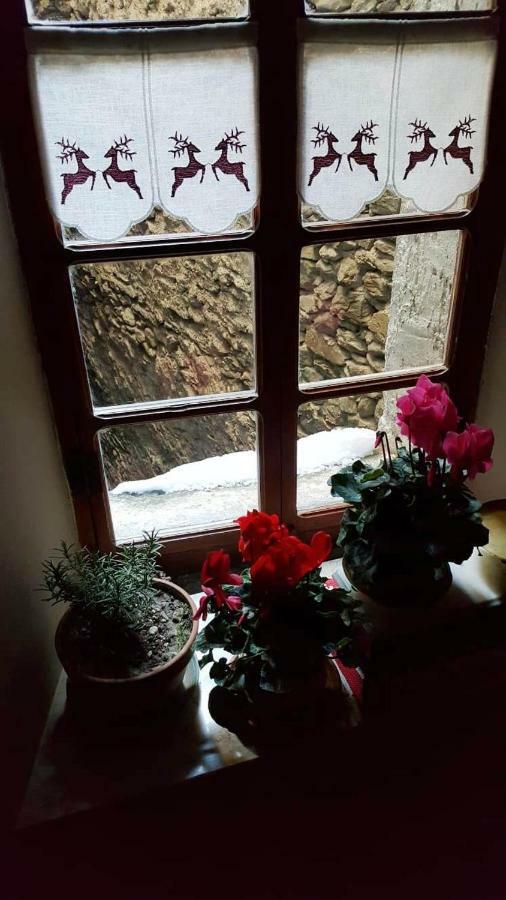 Appartement Il Larice à Salbertrand Extérieur photo
